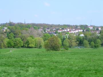 Hampstead Heath