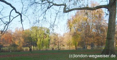 St. James Park